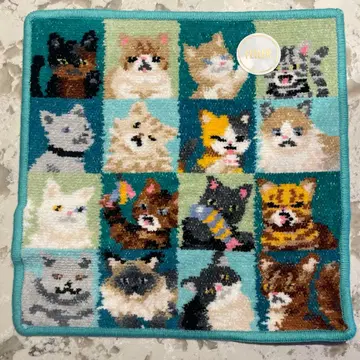 페이 룩! 마이 캣