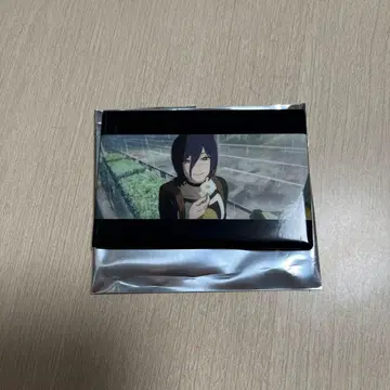 체인소 맨 레제 편 블라인드 마그넷 레제