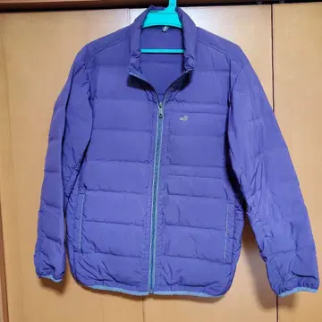 Crocodile 다운 자켓 퍼플