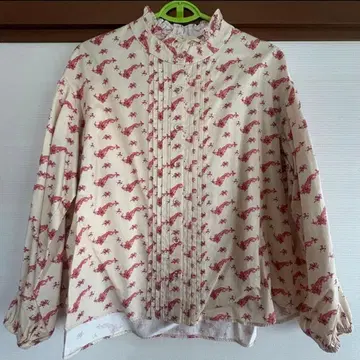 Luck dragon blouse