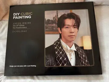 SUPERJUNIOR 동해 DIY CUBIC painting