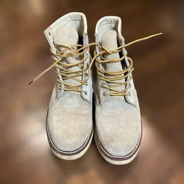 [ Chippewa ] 레드윙 아이리쉬 세터