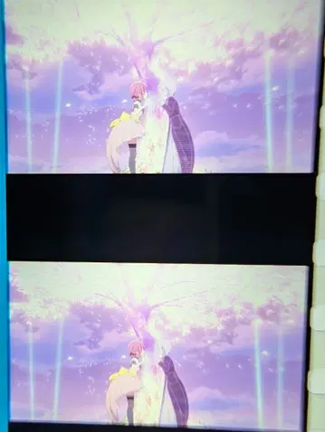 영화 필름 조각 리나 미아