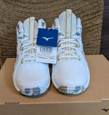 미즈노 웨이브 다이버스 lg4 22.5