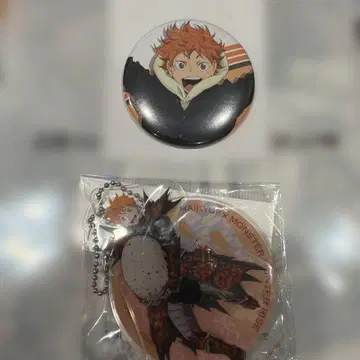 하이큐 히나타 쇼요 캔뱃지 세트