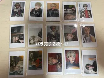 메세모아 노쿠소 폴라로이드 4