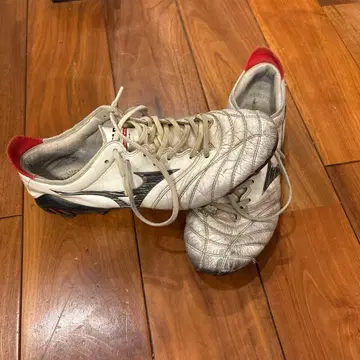 모렐리아 네오 25.5