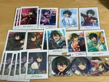 미카 앙스타 파샤츠 파샤코레