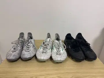 모레리아 3족 세트