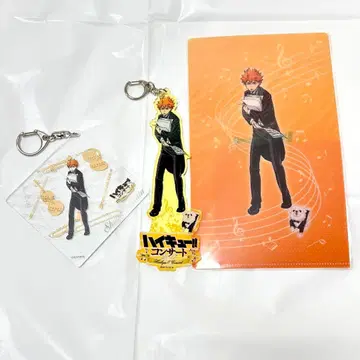 하이큐 콘서트 오케스트라 히나타 쇼요 세트