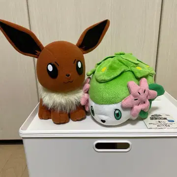 중고 이브이 쉐이미 봉제 인형 포켓몬