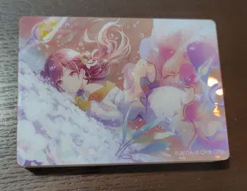 프로세카 노블 아트 vol.62 시노노메 에나