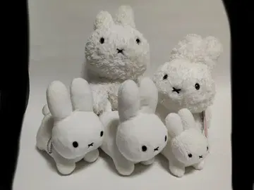 세키구치 미피 아기 토끼 봉제 인형 5체 세트