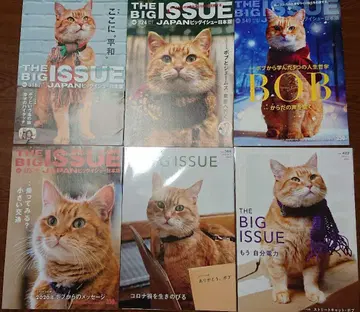 BIG ISSUE 빅이슈 밥이라는 이름의 고양이 밥 특집호 6권 세트