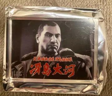 용과 같이 아크릴 블록 사에지마 타이거