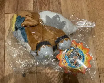 포켓몬 센터 엔테이 이로치리 포켓몬 인형 택 포함