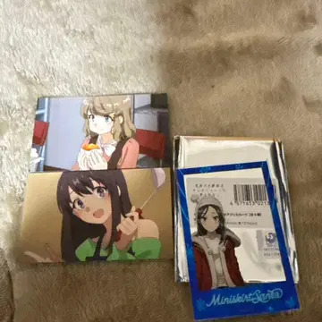 청춘 돼지 야로 는 오오가키 의 거리 의 등불 의 꿈 을 꾸지 않는다