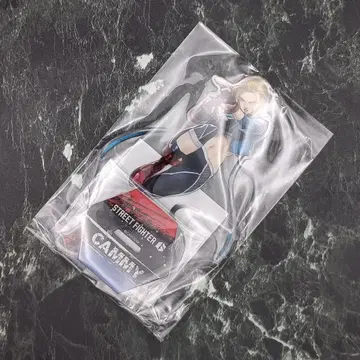 스트리트 파이터 6 캐미 카푸 복권 B상 아크릴 스탠드