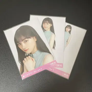 노기자카46 브로마이드 슬리브리스 니트 컴프 카와사키 벚꽃