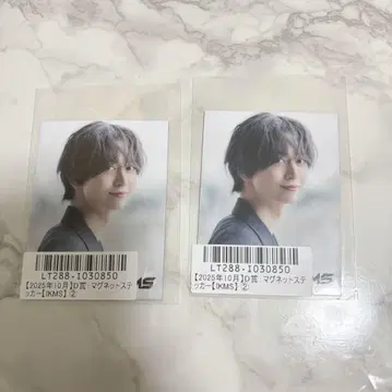 이케다 마사시 IKMS D상 마그넷 스티커