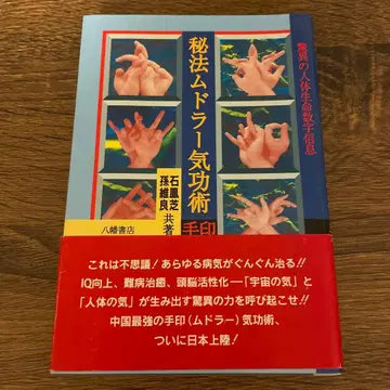 비법 무드라 기공술