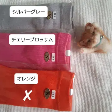 CS 삭스 N 사이즈 앵클 기장/컬러 2족 세트