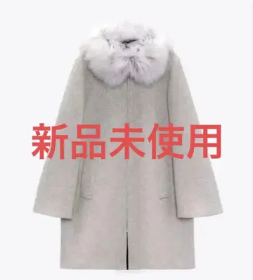 리젝시 다리치 스나이델 무루아 리엔다 다즐린 릴리 브라운