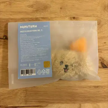 SEVENTEEN MINITEEN 도겸 DK 키링