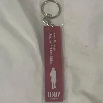 슬로우 데미지 생원화전 아크릴 키링 아크키 토와 스로다메