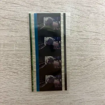 영화 니지가사키 제2장 필름 조각 미아 테일러