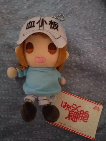 일하는 세포 묶음 판매 세트