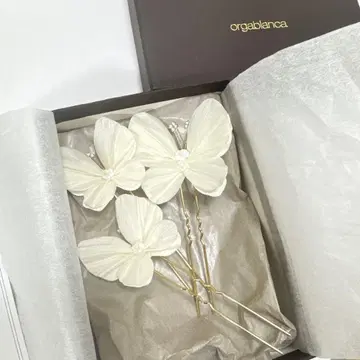 orgablanca 카프리 핑 나비