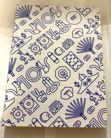 RIP SLYME Tour of Ten FINAL 2장 세트 DVD