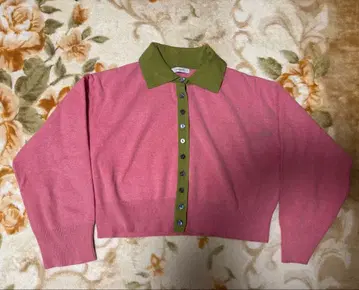 JEANASIS 핑크와 그린의 크롭 니트