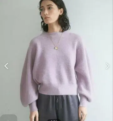 아나이 워셔블 라쿤 돌먼 풀오버