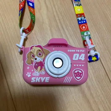 스카이 디지털 카메라