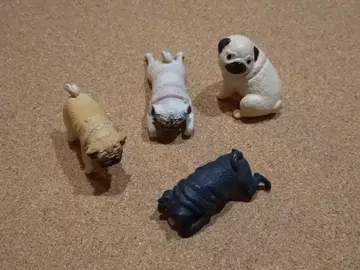 캡슐 토이 퍼그 여러 가지 세트