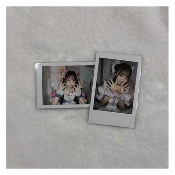 논피쿠! 코르네 생일 의상 런 폴라로이드