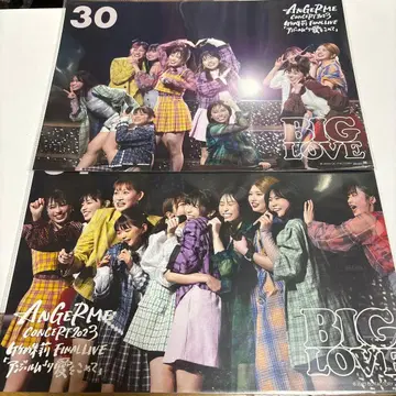 안쥬르므 집합 라이브 핑포스