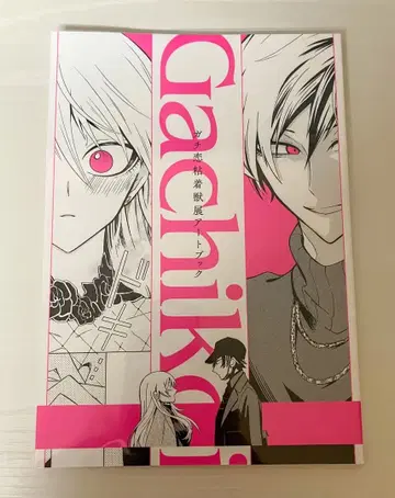 가치코이 점착 수주전 아트북