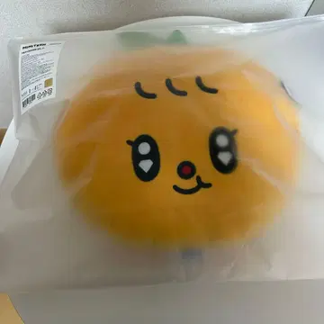 미니틴 푸규리 페이스 쿠션