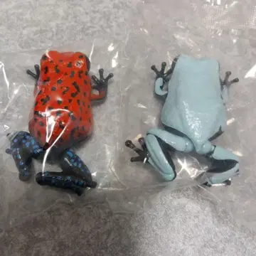 생물대도감 쁘띠 독개구리 가챠