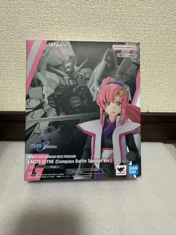 미개봉품 라크스 클라인 피규아트 (나침반 진하오리)