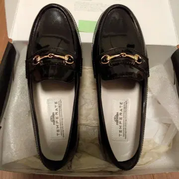 레인 슈즈 22.5 템플릿