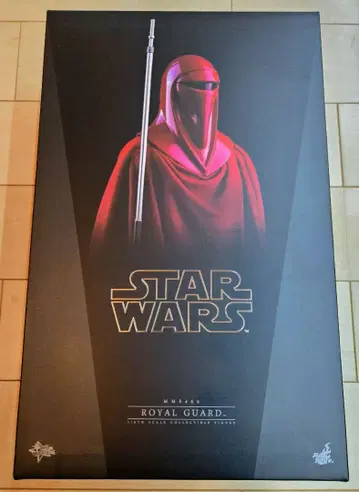 핫토이즈 MMS469 스타 워즈 로얄 가드 1/6