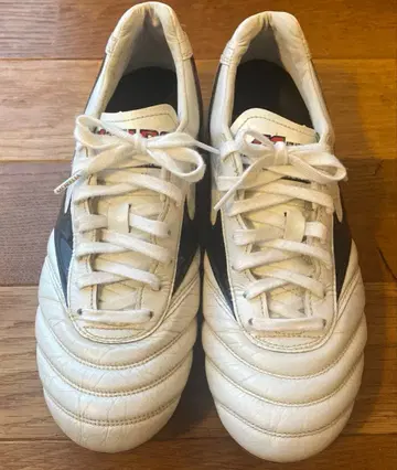 모렐리아 2 미즈노 스파이크 24.5cm