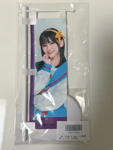 신 노기자카 스타 탄생! LIVE 이케다 에이샤 미니 깃발