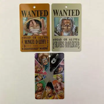 루피 레이리 밀짚모자 일당 수배서 메탈 플레이트 키링 3개 세트