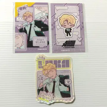 에이스테 아니카페 루카