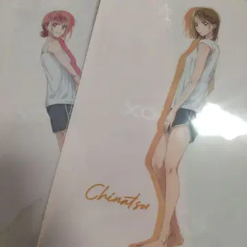 푸른상자 ZOZOTOWN 굿즈세트 시카노 치나 초노 히나 클리어 파일